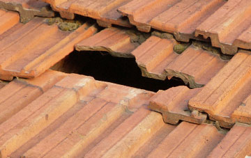 roof repair Carey, Herefordshire